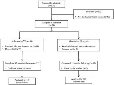 Videoconferencing Psychotherapy for Panic Disorder and Agoraphobia: Outcome and Treatment Processes From a Non-randomized Non-inferiority Trial